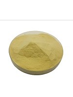 عصاره مالت جو