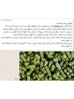 رازک مگنوم